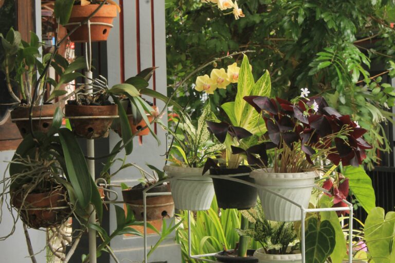 Creating a Sustainable Garden: Landscaping Ideas for Limited Yards